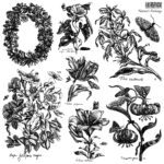 Nature's Etchings 12x12 IOD Stamp 2 Sheets